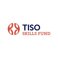 Tiso Skills Fund logo - Similar company to Tiso Foundation