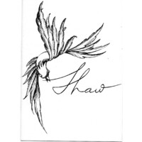 Shaw Joyero logo - Similar company to Topway Optical