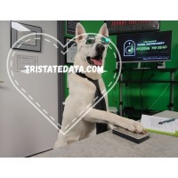 Tri-State Data Recovery logo - Similar company to Hackers Guild Pgh