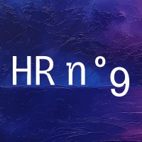 HR no. 9 logo - Similar company to Satisfly