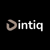 Dintiq logo - Similar company to Broekhuis Fietsen
