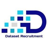 Dataset Recruitment logo - Similar company to Dataset Inc.