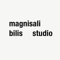 Magnisali Bilis Studio logo - Similar company to S.G. Engineering S.R.L.