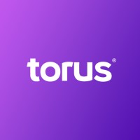 Torus Marketing logo - Similar company to Flowz Digital