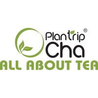 Natural Leaf logo - Similar company to Viralwave