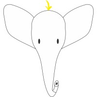 Blond Elephant CA logo - Similar company to Athlete Forever