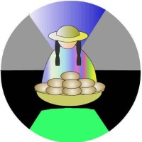 INSTITUTO DE DESARROLLO DEL DESIERTO LIMITADA logo - Similar company to Núcleo Milenio Para El Desarrollo Integral De Los Territorios (Cedit)