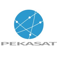 PEKASAT SE logo - Similar company to Quantumtec - Communication Services