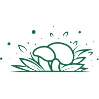 Club Shrooms logo - Similar company to Debate Plus+