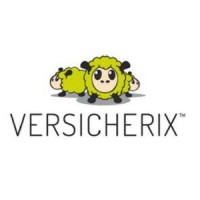 Versicherix Ag