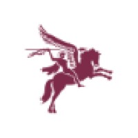 Pegasus Executive Search Ltd