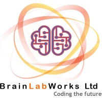 Brain Lab Works Ltd logo - Similar company to Hyper Intelligence Inc.