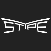 stYpe logo - Similar company to Xylon