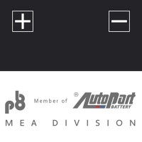 PB 8 Member of Autopart Group logo - Similar company to بيري بوس | Berrypos