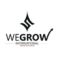 WeGrow International logo - Similar company to Digital Techsforge