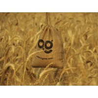 Anmol Agro logo - Similar company to Halani Foods Pvt Ltd