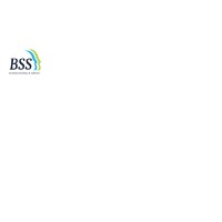 Behavioral Support Services, Inc. logo - Similar company to Platform Behavioral Support Services