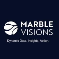 Marble Visions logo - Similar company to Pasco Corp. Satellite Business Division