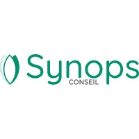 Synops Conseil logo - Similar company to Shz Advanced Technologies