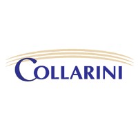 Collarini Energy Experts logo - Similar company to Collarini Engineering Inc., Dba Collarini Associates