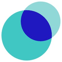 Perspecta Consulting logo - Similar company to Viro