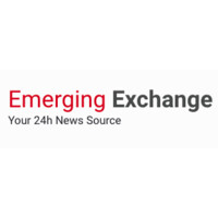 Emerging Exchange logo - Similar company to Storm King Analytics