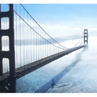 Bridge Consulting Group LLC logo - Similar company to Bridgeconsultinggroup