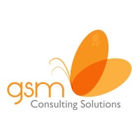 GSM Consulting Solutions logo - Similar company to Neuro Logic Systems, Inc.