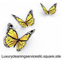 Luxury Cleaning Services LLC logo - Similar company to Curo Cleaning Services