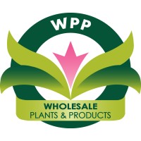 Wholesale Plants & Products Pty Ltd logo - Similar company to Green Plants