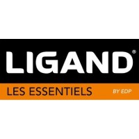 E.D.P. logo - Similar company to Anthelys