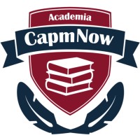 Project Now logo - Similar company to Academia Project Now
