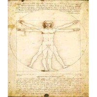Multidimensional Health & Bodywork