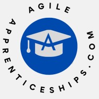AgileApprenticeships.com by The Bee2Bee Network logo - Similar company to Modernyz Technologies