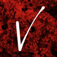-ivoro.ventures logo - Similar company to Sherry Ventures