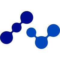 Netchem Inc. logo - Similar company to Mapas