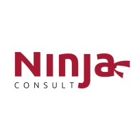 Ninja Consult logo - Similar company to Ninja Consulting