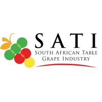 SATI logo - Similar company to Sati Technology Inc