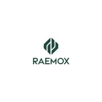 Raemox logo - Similar company to Team De-Bug