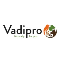 Vadipro logo - Similar company to Valadis