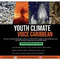 Youth Climate Voice Caribbean logo - Similar company to Ai + Planetary Justice Alliance