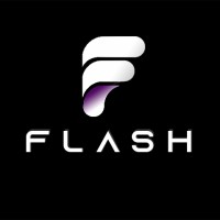 Flash Marketing Agency. Atlanta, GA logo - Similar company to Cornerstone Media Group, Inc.