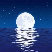 Moonlighters logo - Similar company to Jayoh - Fractional Growth Team