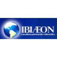 Ibiaeon Consultoria E Informática Ltda
