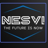 Nesvi Private limited logo - Similar company to Webwise It Solutions Private Limited