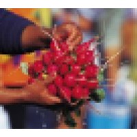 Feed Denver: Urban Farms & Markets logo - Similar company to Vollmer'S Bakery And Cheesecake Factory