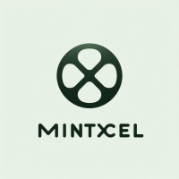 MintXcel logo - Similar company to Np Tech Solutions Limited
