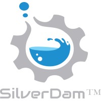SilverDam™ logo - Similar company to Metavision Studio