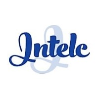 INTELC-CONSULTORIA logo - Similar company to Afrizona – Security, It & Lab