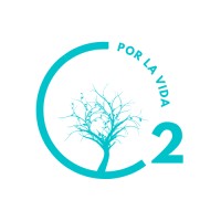 O2 POR LA VIDA logo - Similar company to Uxerfriendly